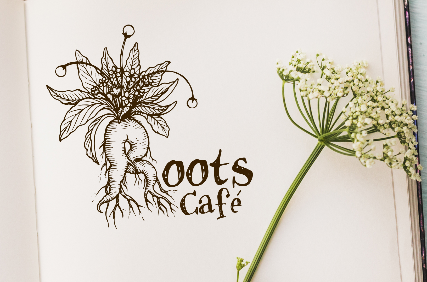 Roots Café Logo - Eleonora Casetta