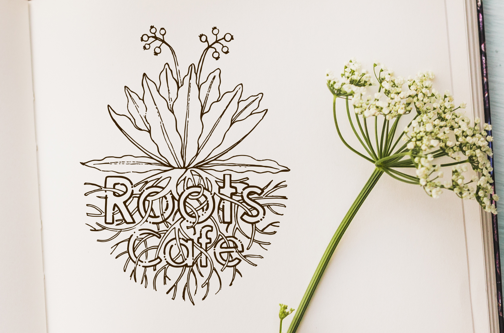 Roots Café Logo - Eleonora Casetta